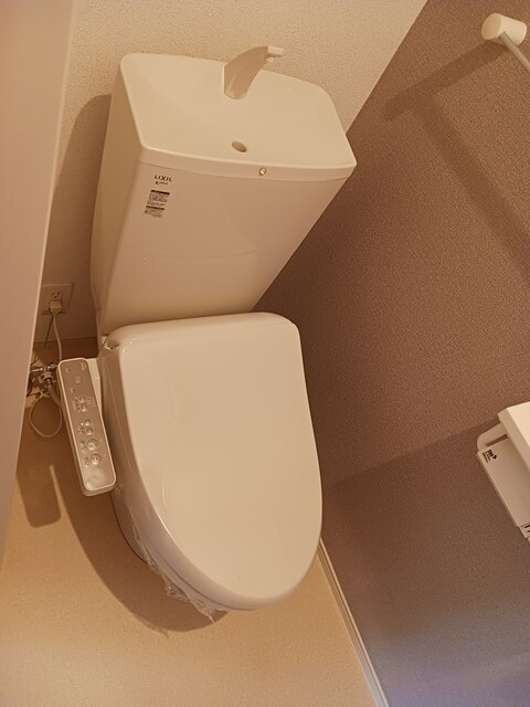 ステラ　Ⅰ その他2