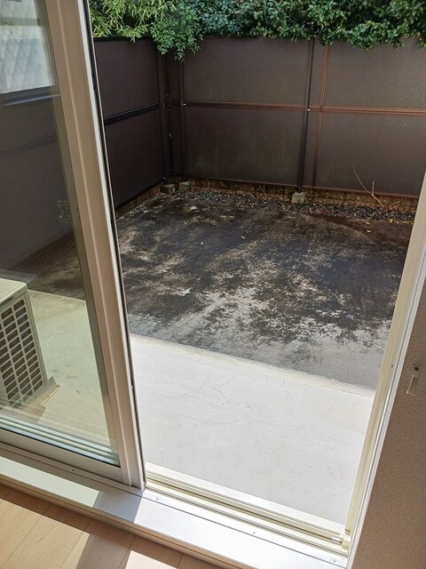 ステラ　Ⅰ その他8