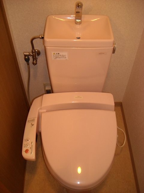 ルミナス その他1