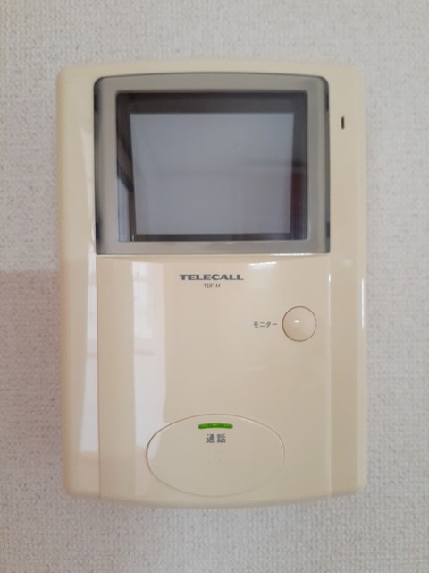 ヴィオラ　Ｕ その他1