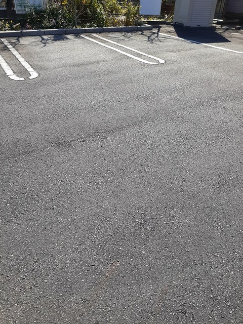 ヴィオラ　Ｕ その他6