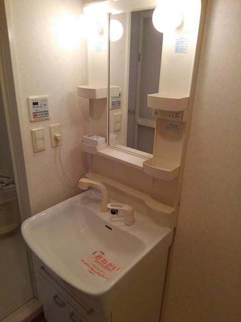 Ｇｏｌｄ　Ｍ　Ｋａｍｏ その他1