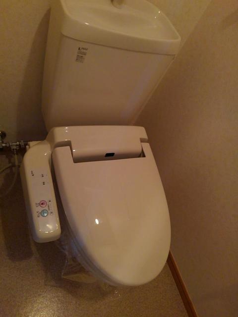 Ｇｏｌｄ　Ｍ　Ｋａｍｏ その他2