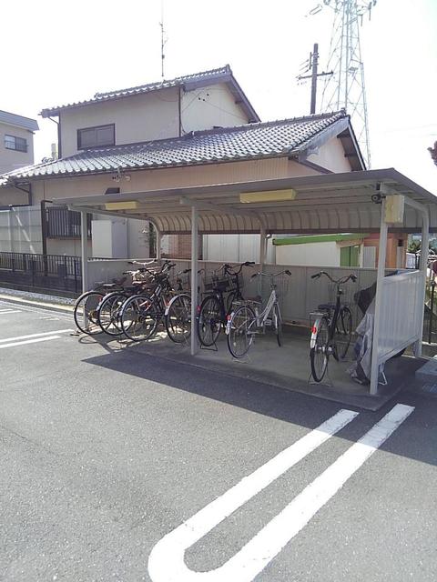 Ｇｏｌｄ　Ｍ　Ｋａｍｏ その他6