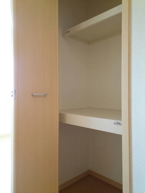 ウェルネス その他5