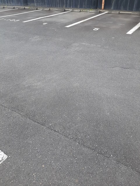 ハイツ百合の木Ⅱ その他4