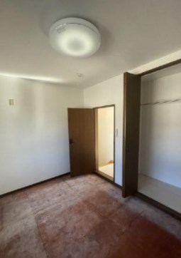 ホウリネスⅡ その他4