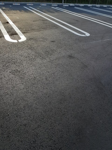 メゾン八番館 その他4