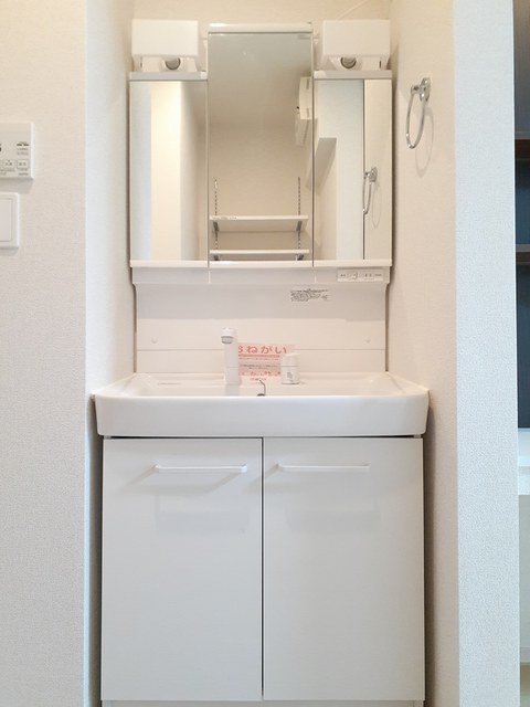 セレンディピティ その他1