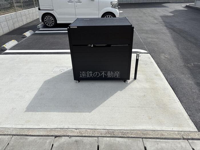 ステラ その他