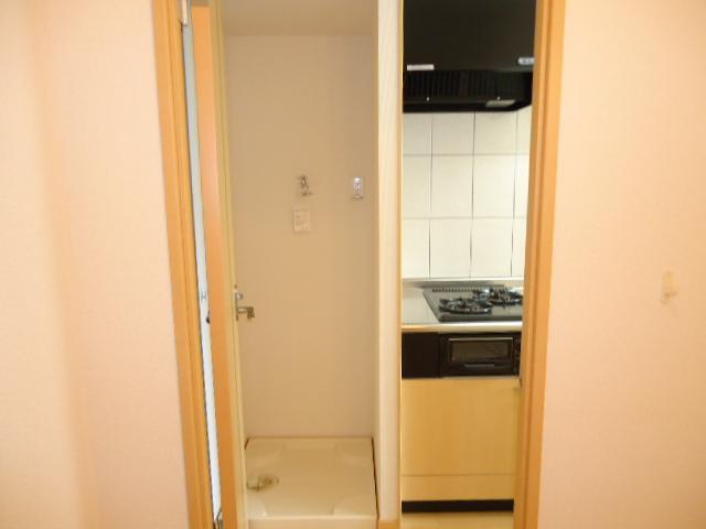 ＯＮＥ　ＰＩＥＣＥ（ワンピース） その他11