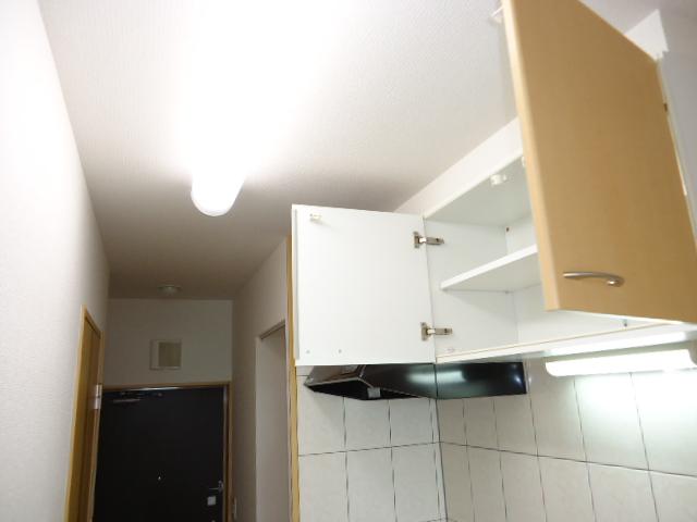 ＯＮＥ　ＰＩＥＣＥ（ワンピース） その他13