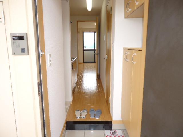 ＯＮＥ　ＰＩＥＣＥ（ワンピース） その他16