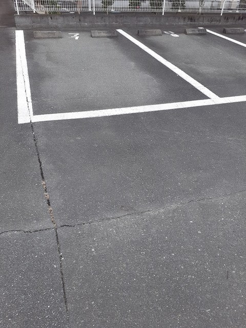 プリムローズ その他4