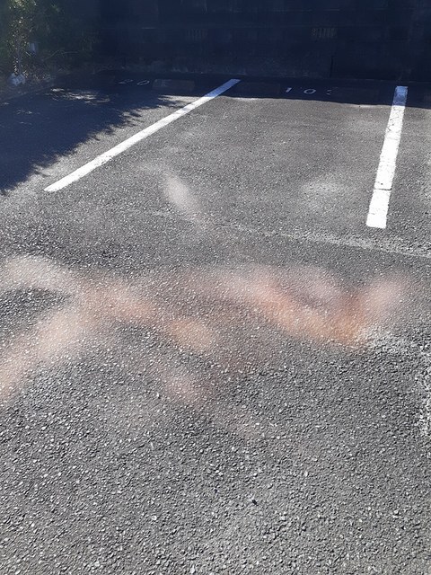 ピュアアネックス その他4