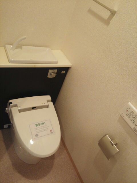 サンリット初生 その他2