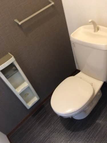 ピア　グリーン その他3