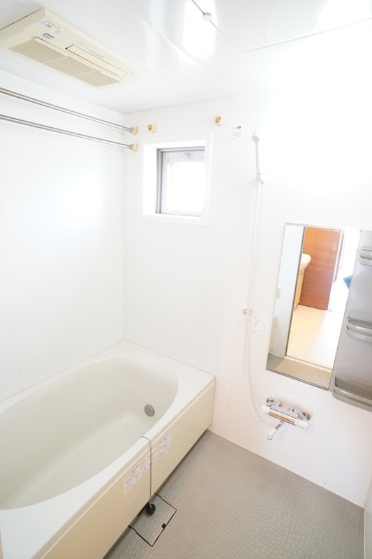 ティアラⅧ その他13