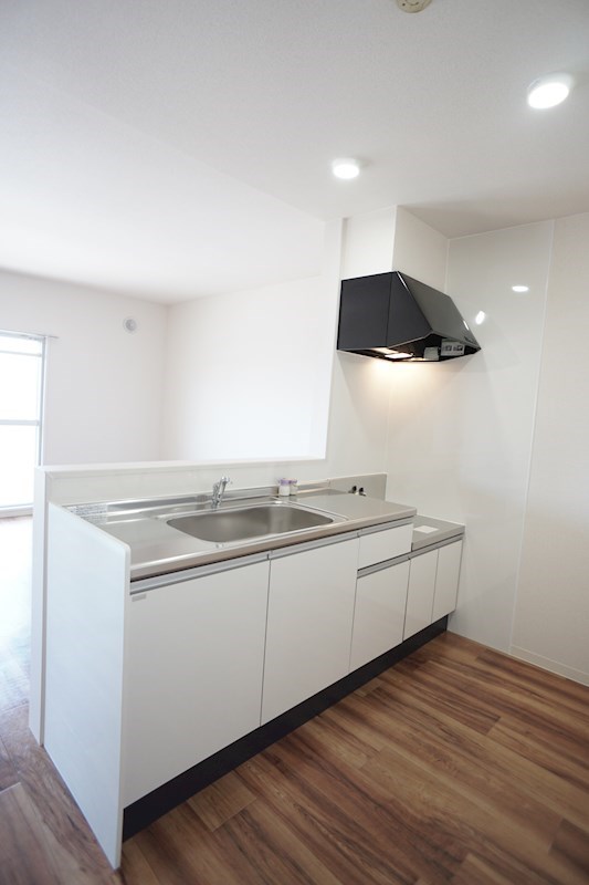 初生パークハイツ キッチン