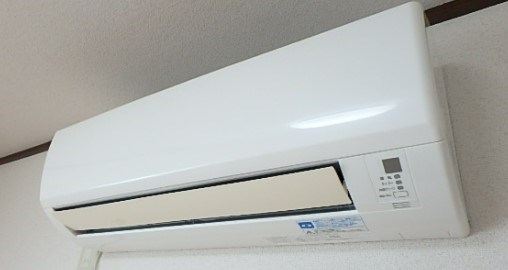 サンフラワーA その他1