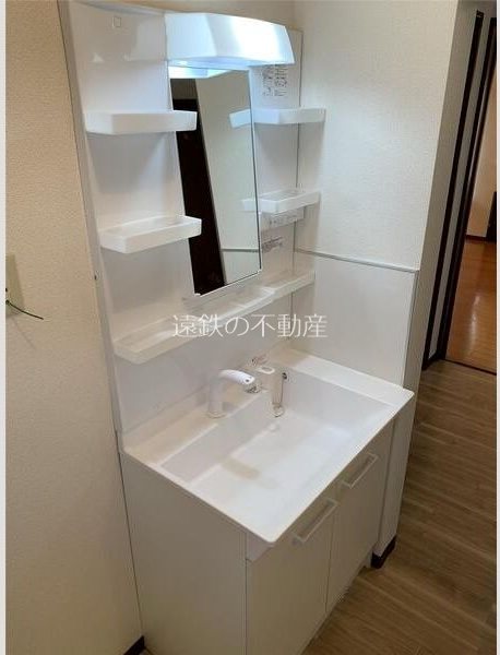 サンフラワーA その他2