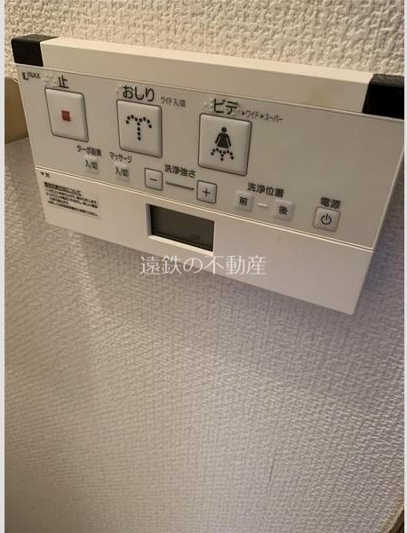 サンフラワーA その他4