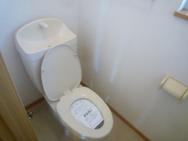 アプリコット・トゥリー その他1