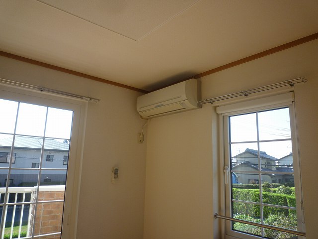 アプリコット・トゥリー その他3