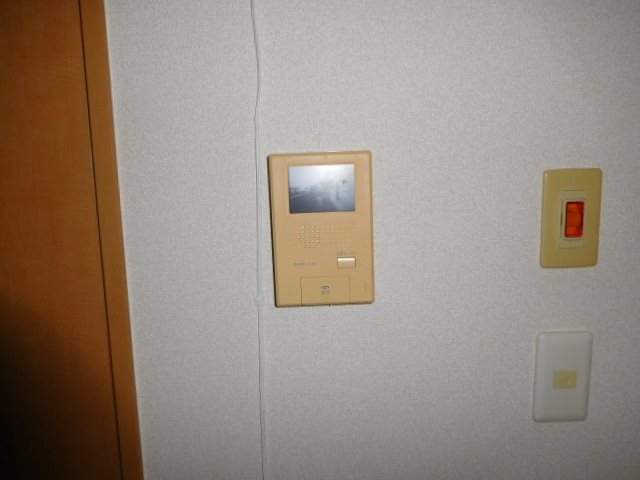 TIARA（ティアラ） その他4