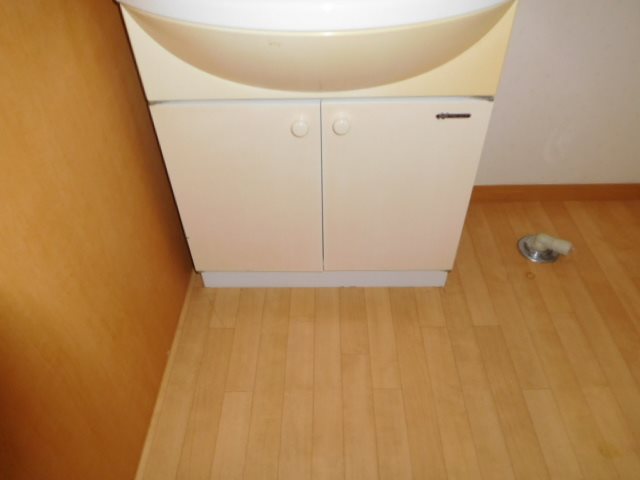 TIARA（ティアラ） その他7