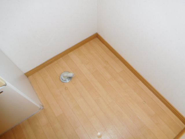 TIARA（ティアラ） その他11