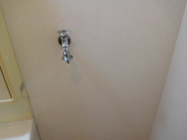 TIARA（ティアラ） その他12