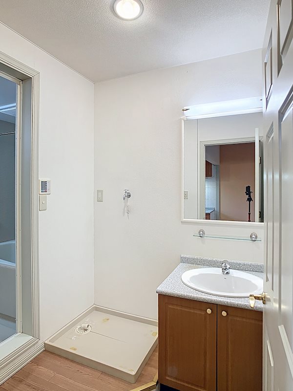 ツインズ その他1