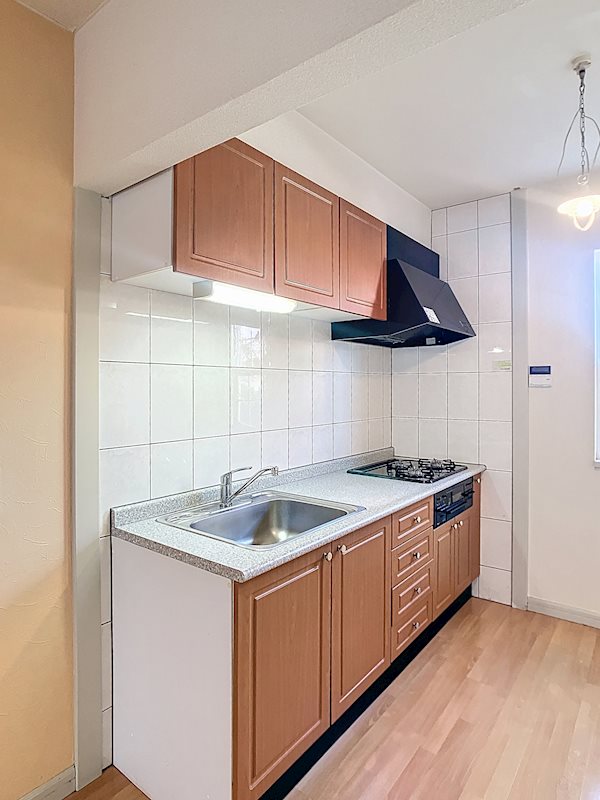 ツインズ その他12