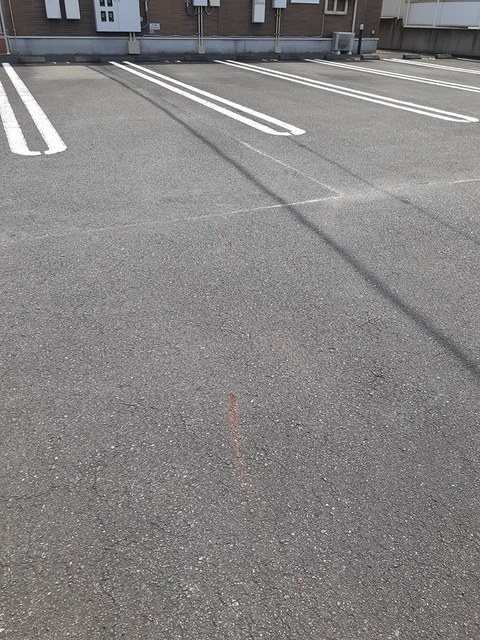 ニューリーフ　Ａ その他4