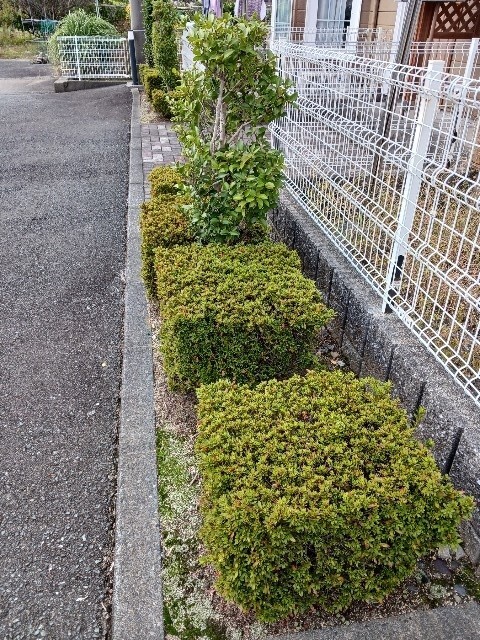 メゾングラシュ その他8