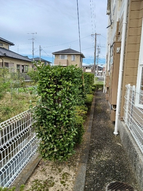 メゾングラシュ その他10