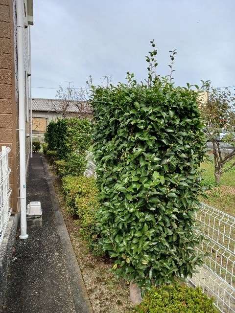 メゾングラシュ その他12