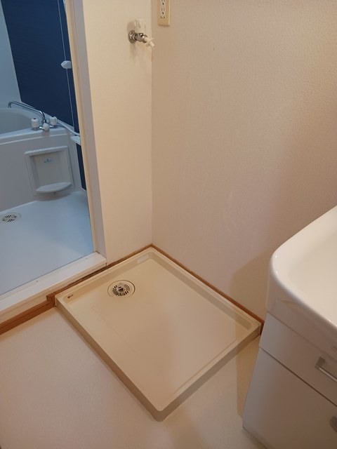 ラフレシールⅠ その他1