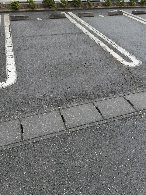 ピチカート　Ａ その他5