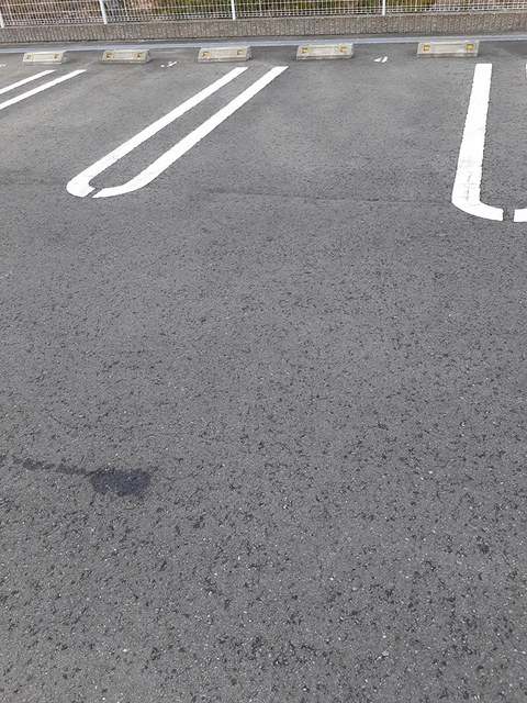 Ｍ&amp;rsquo;ｓ　Ｇａｒｄｅｎ その他4