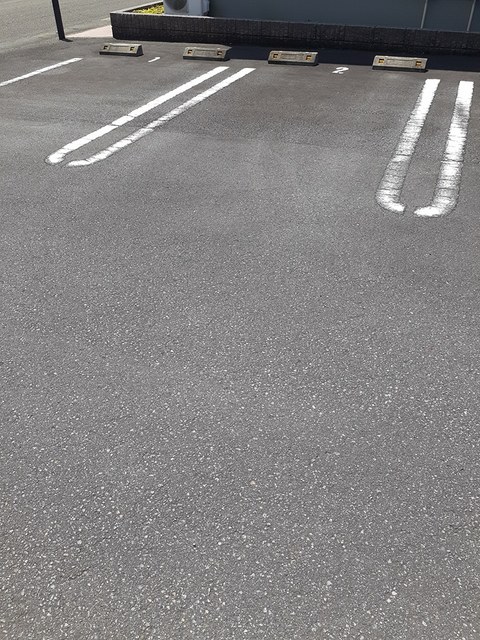 サニーブライト その他4