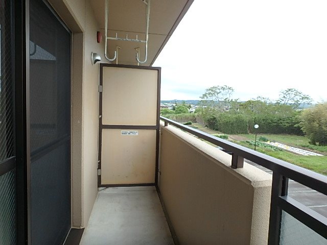 bonito（ボニート） その他14