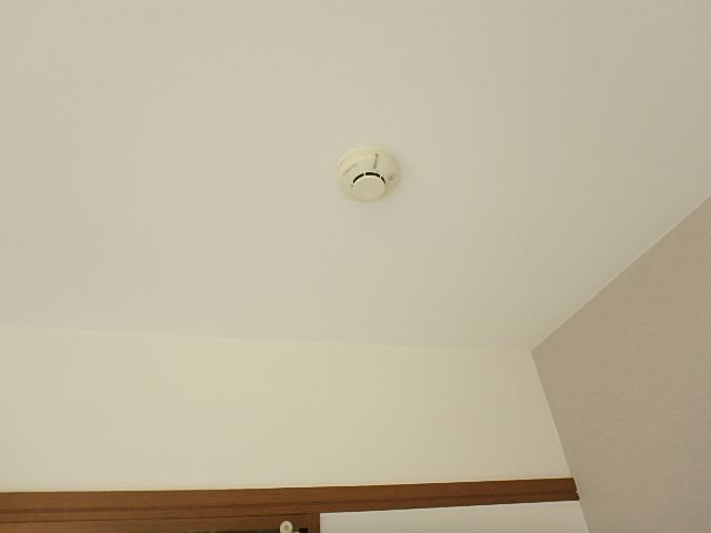 bonito（ボニート） その他17