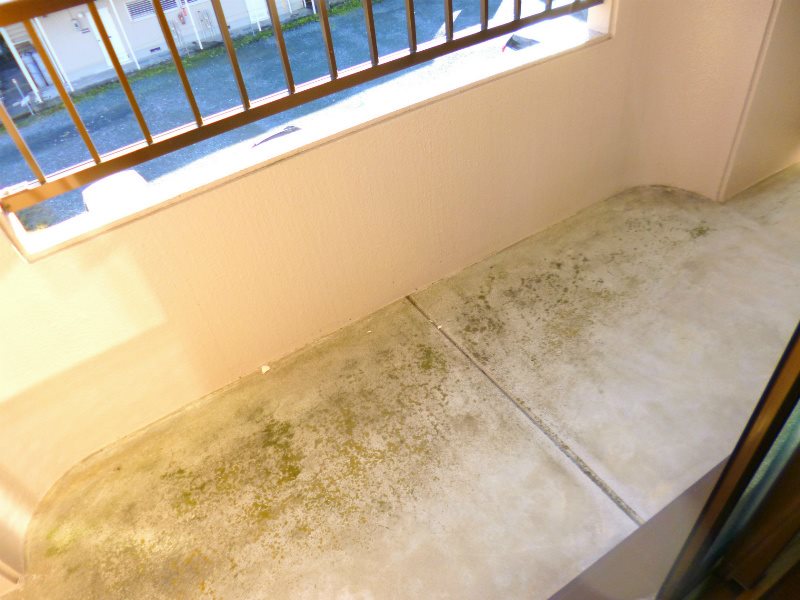 フェニーチェ ベランダ