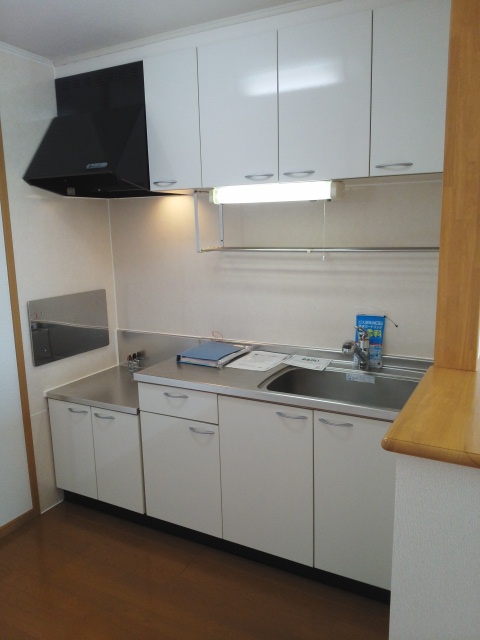 リン・フォート キッチン