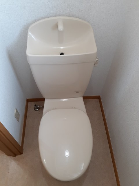 アプリコット・トゥリー その他1