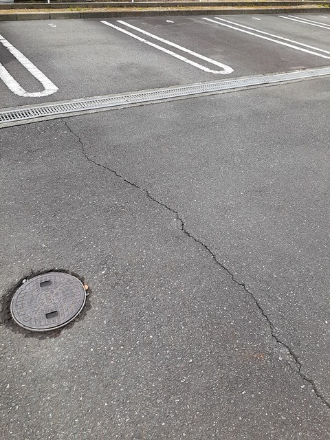 アプリコット・トゥリー その他5