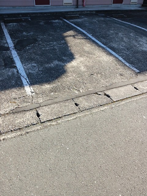 エレガンス葵 その他5