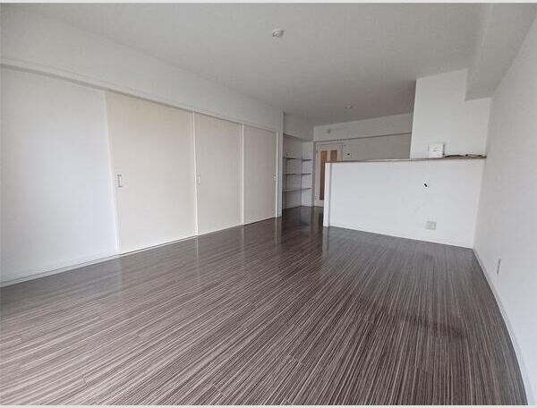 ローザンヌⅤ リビング